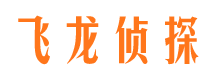 凉城侦探